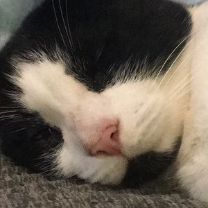 Meet your Posher, Hayley